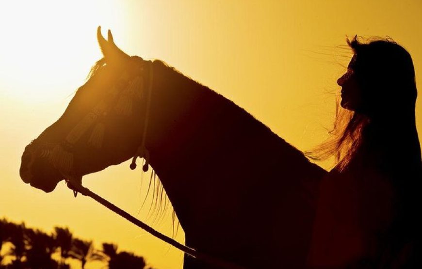 Horse Riding in Hurghada Desert & Sea
