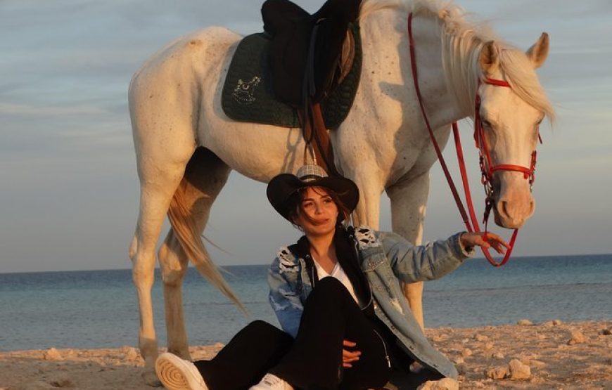 Horse Riding in Hurghada Desert & Sea