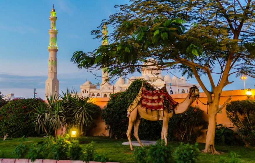 Тур по Хургаде