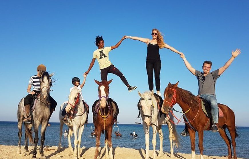 Horse Riding in Hurghada Desert & Sea