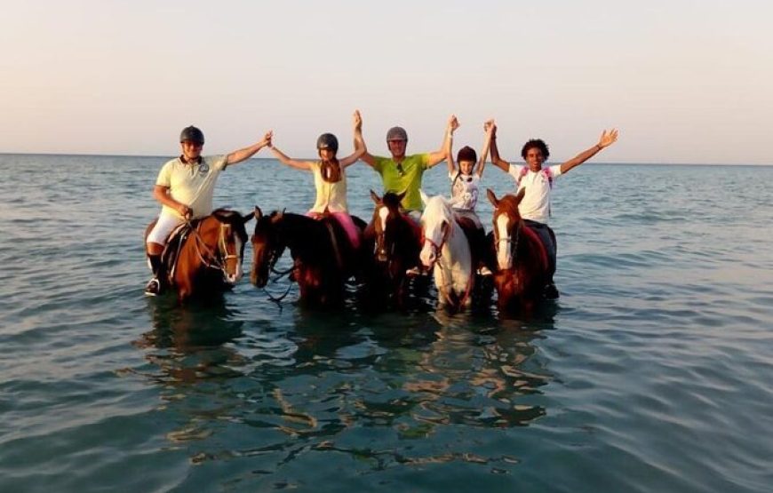 Horse Riding in Hurghada Desert & Sea