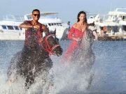 Horse Riding in Hurghada Desert & Sea