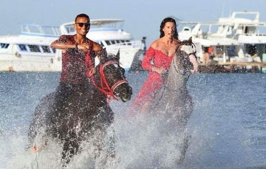Horse Riding in Hurghada Desert & Sea