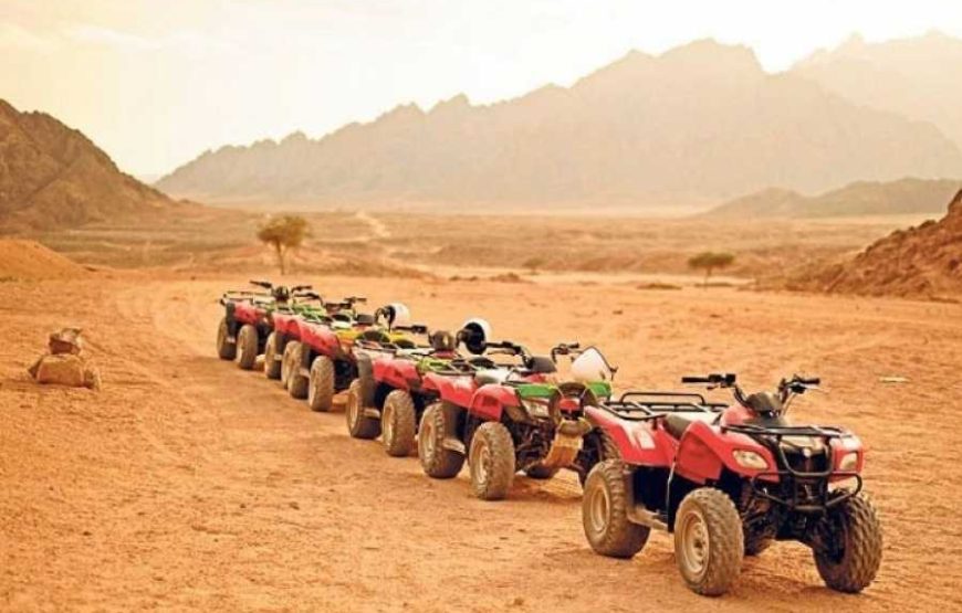 Quad Bike Safari Desert Adventure in Hurghada