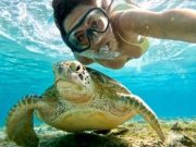 Tortues & Dugong de la Baie d&rsquo;Abu Dabbab au départ de Hurghada