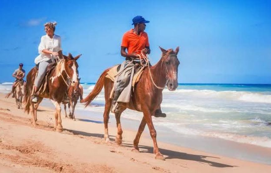 Horse Riding in Hurghada Desert & Sea