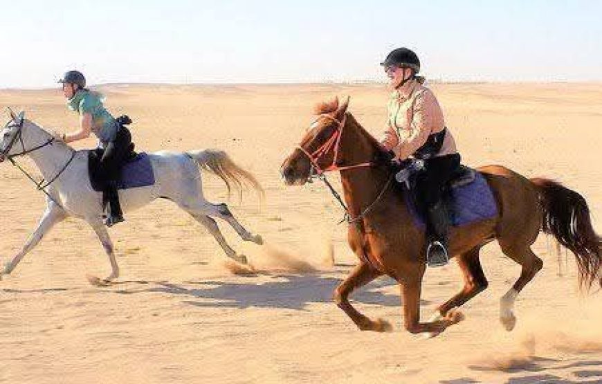 Horse Riding in Hurghada Desert & Sea
