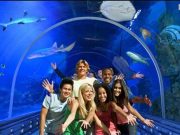 Grand Aquarium