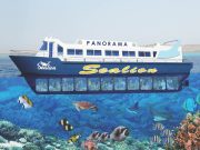 Tour Semi-Sous-Marin Panorama et Excursion en Mer avec Plongée avec Masque et Tuba
