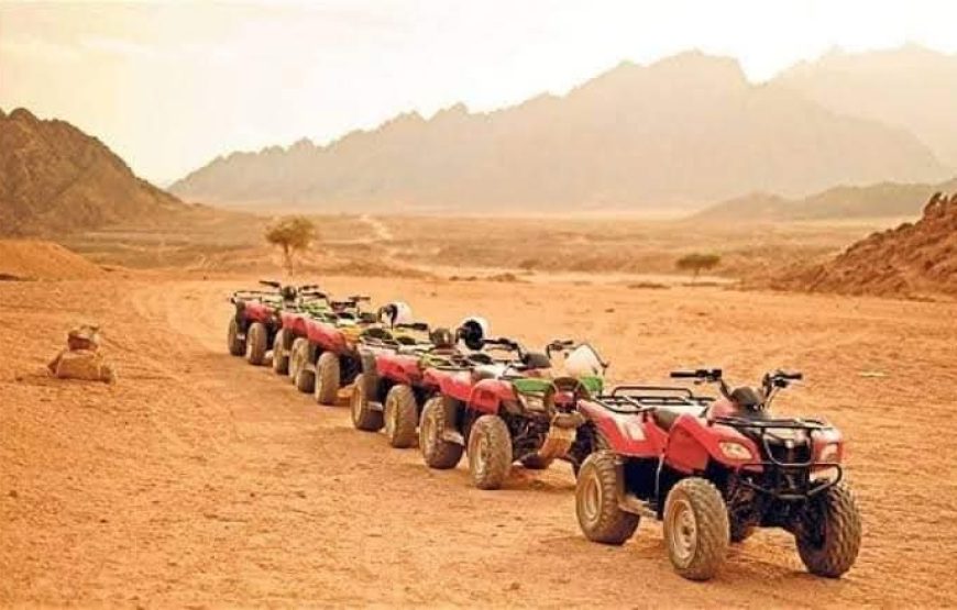 Quad Bike Safari Desert Adventure in Hurghada
