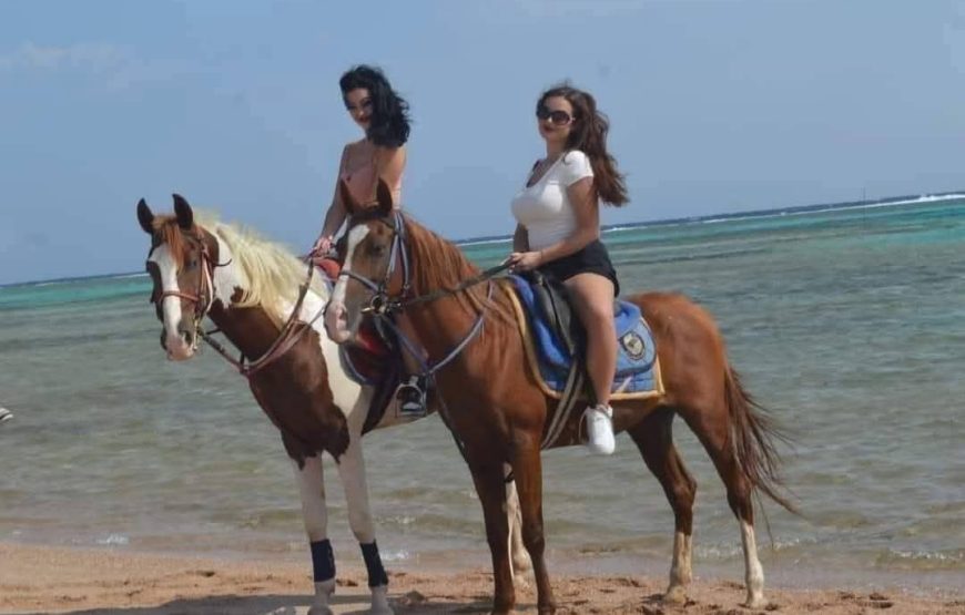 Horse Riding in Hurghada Desert & Sea