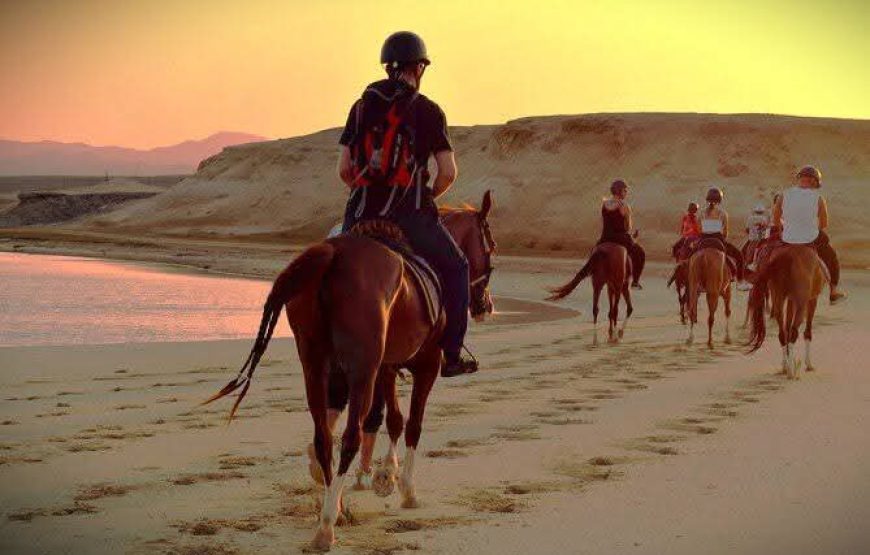 Horse Riding in Hurghada Desert & Sea