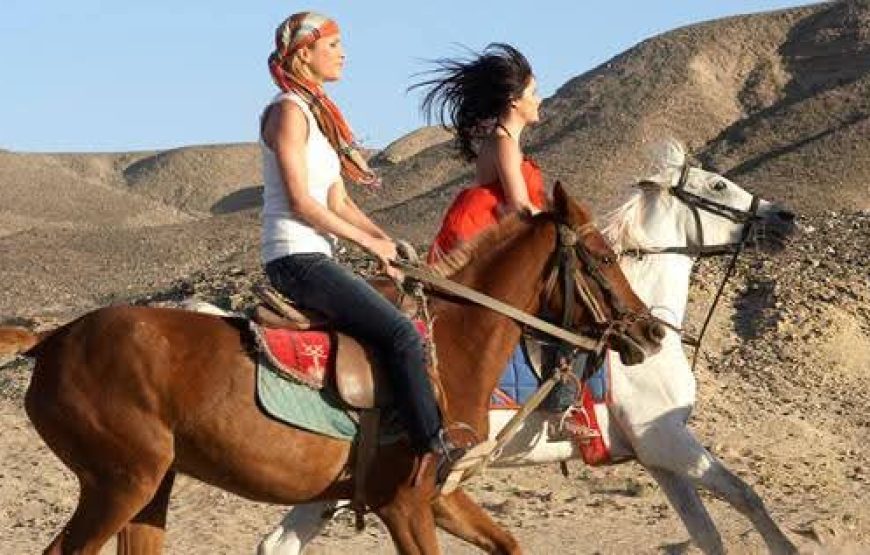 Horse Riding in Hurghada Desert & Sea
