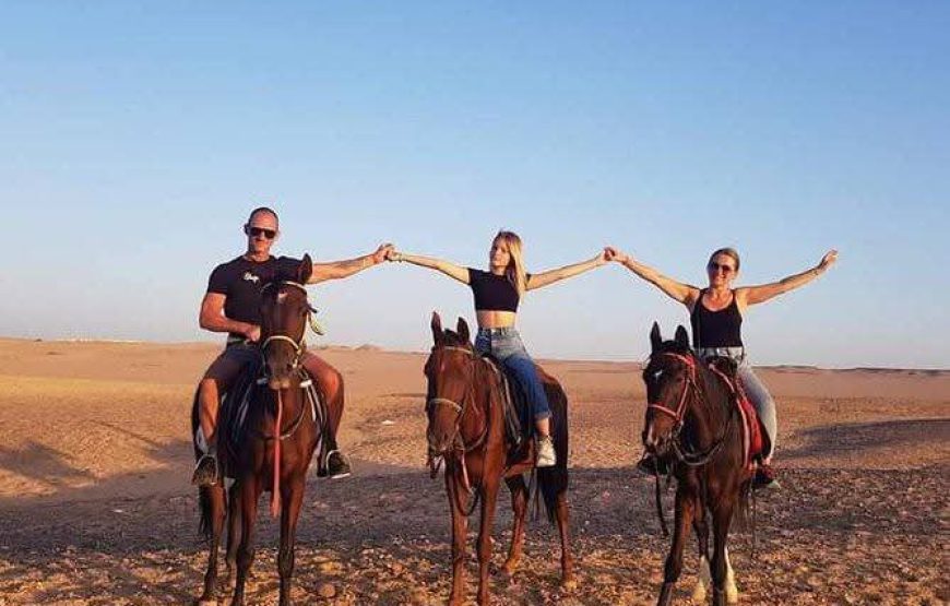 Horse Riding in Hurghada Desert & Sea