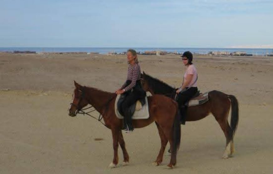 Horse Riding in Hurghada Desert & Sea