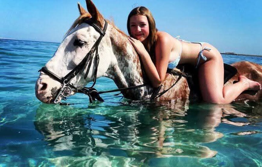Horse Riding in Hurghada Desert & Sea