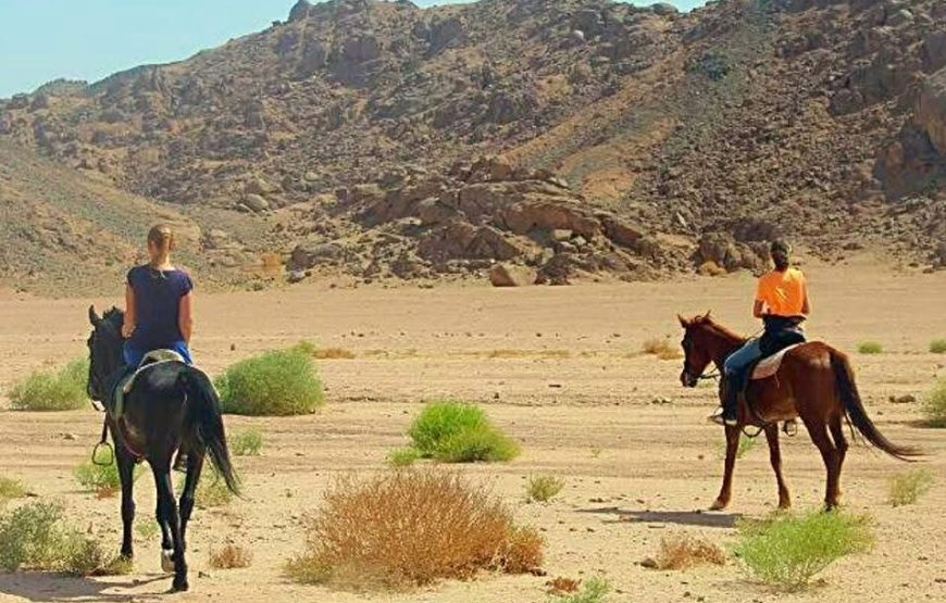 Horse Riding in Hurghada Desert & Sea