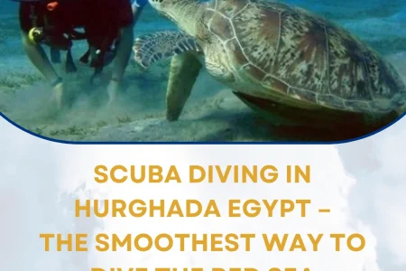 scuba diving in hurghada egypt