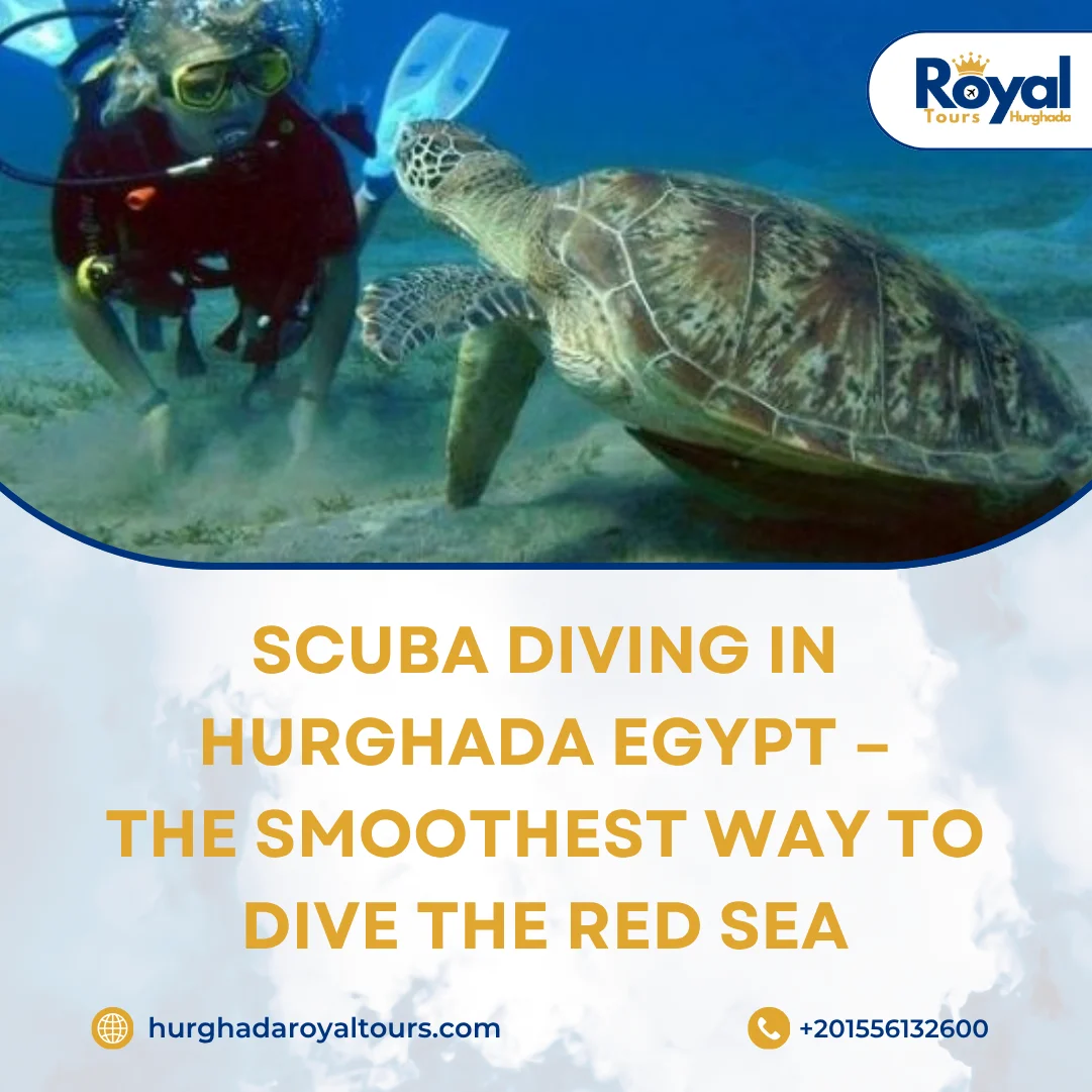 scuba diving in hurghada egypt