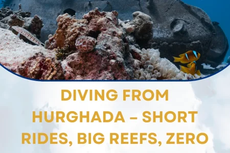 Diving from Hurghada