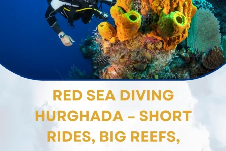 Red Sea Diving Hurghada