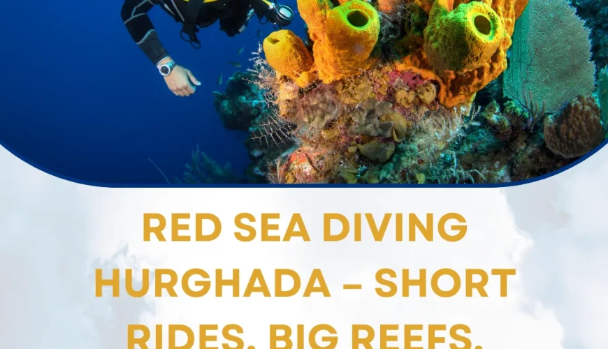 Red Sea Diving Hurghada