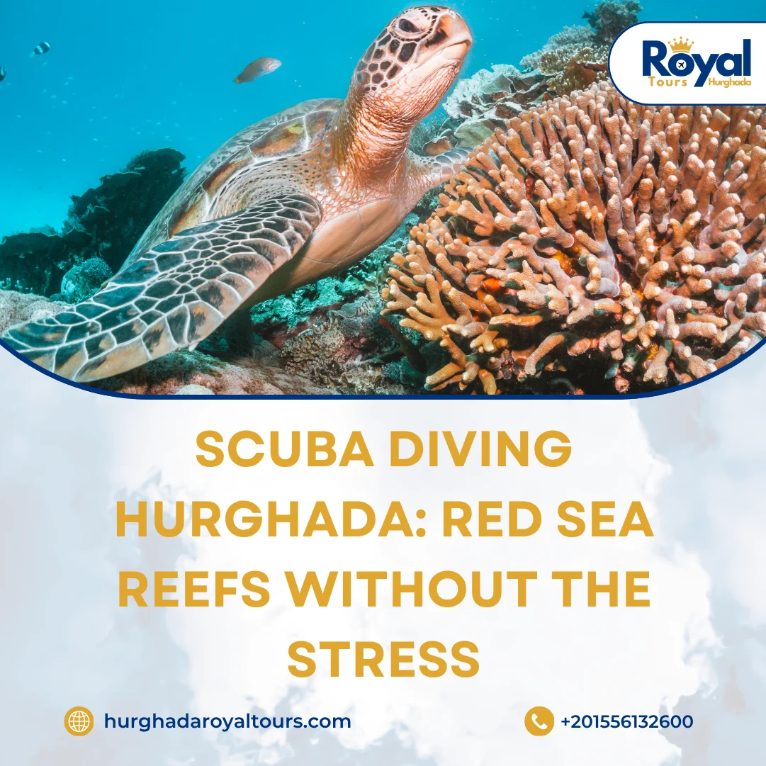 Scuba Diving Hurghada