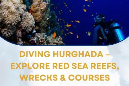 Diving Hurghada
