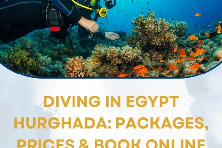 Diving in Egypt Hurghada