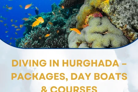 Diving in Hurghada