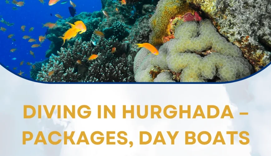 Diving in Hurghada