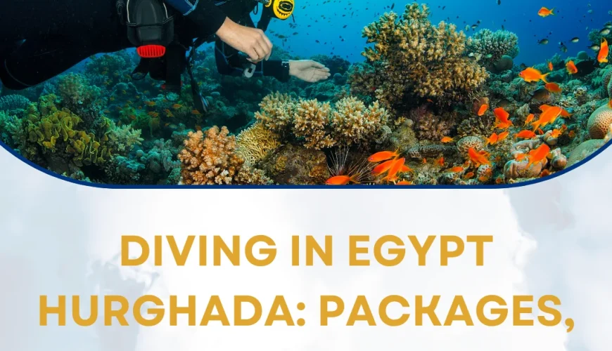 Diving in Egypt Hurghada