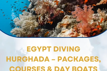Egypt Diving Hurghada
