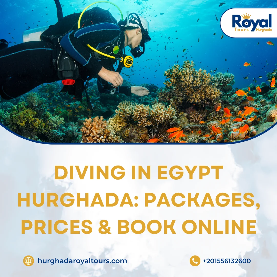 Diving in Egypt Hurghada