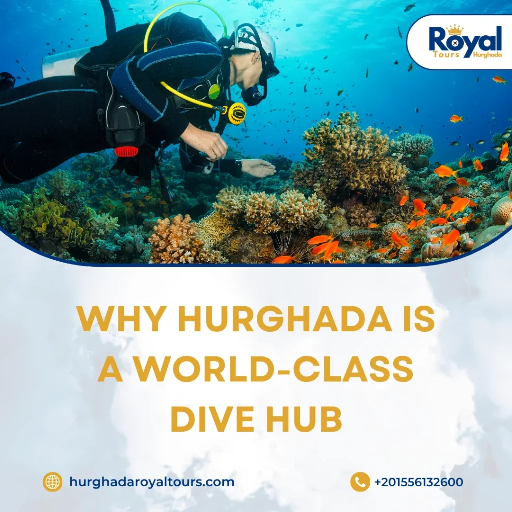 Diving in Egypt Hurghada