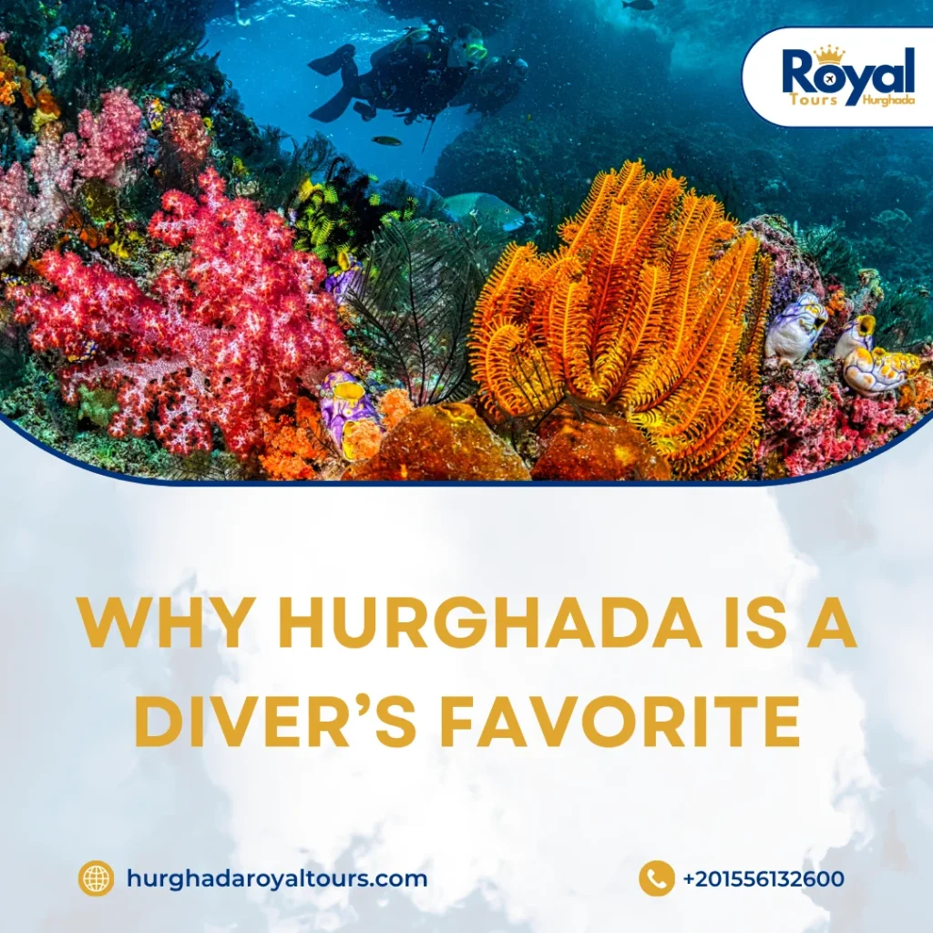 Hurghada Diving
