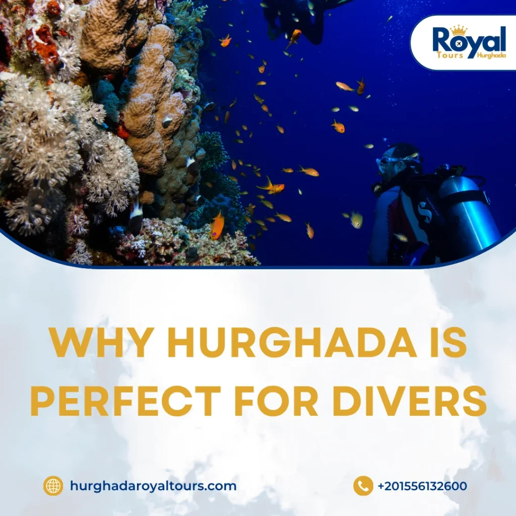 Diving Hurghada