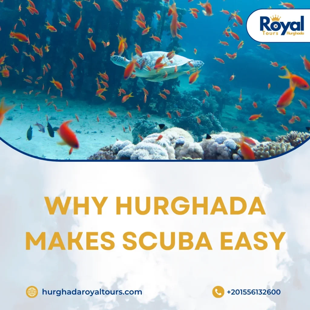 Hurghada Egypt Diving