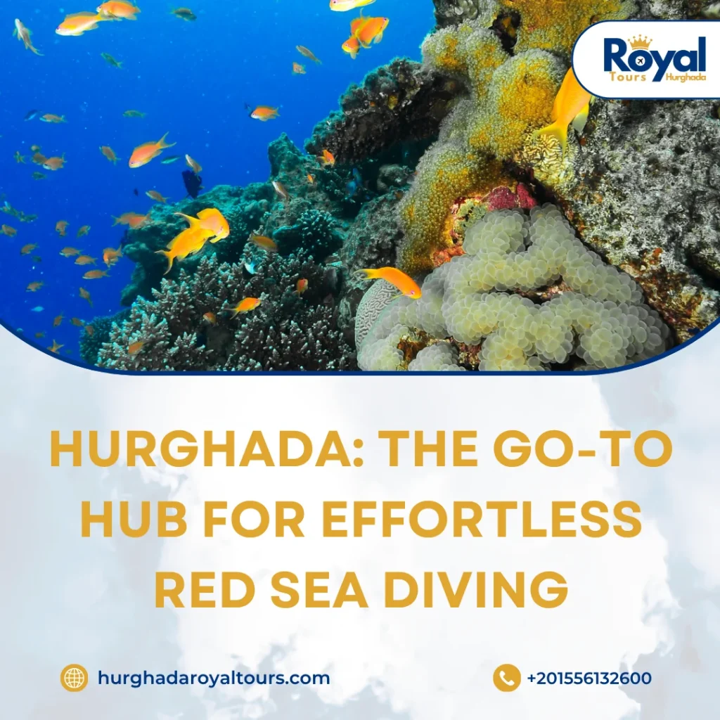 Diving in Hurghada