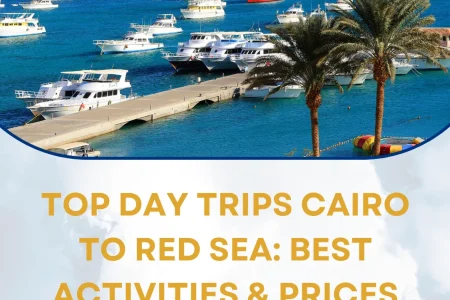 day trips Cairo to Red Sea