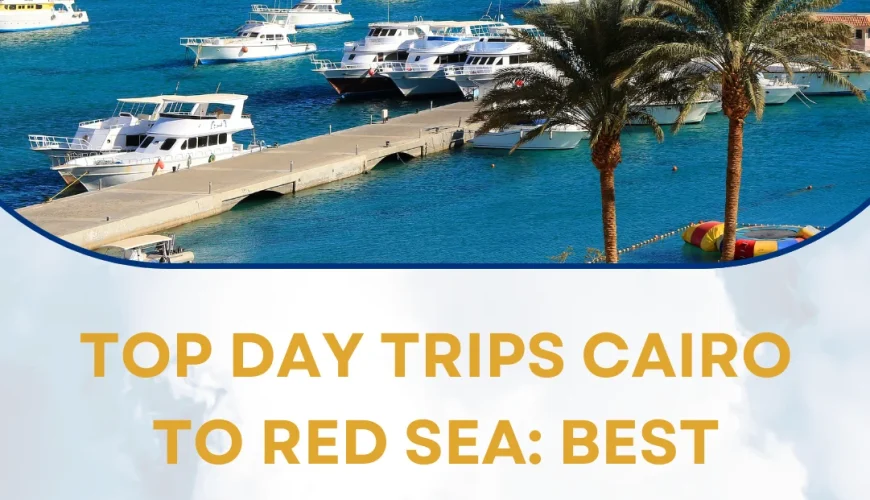 day trips Cairo to Red Sea