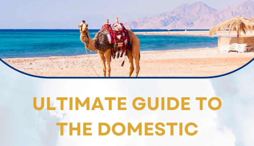 domestic tourism in Egypt