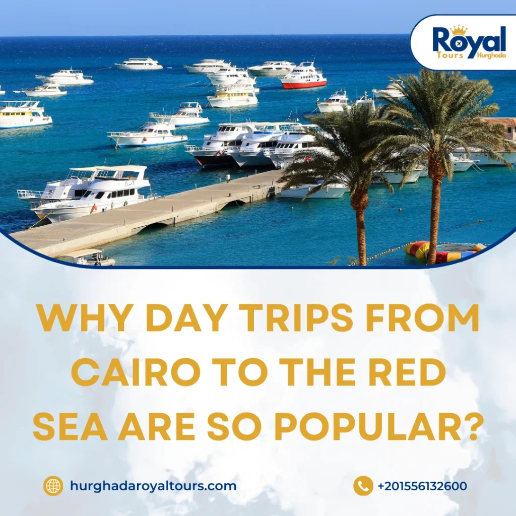day trips Cairo to Red Sea