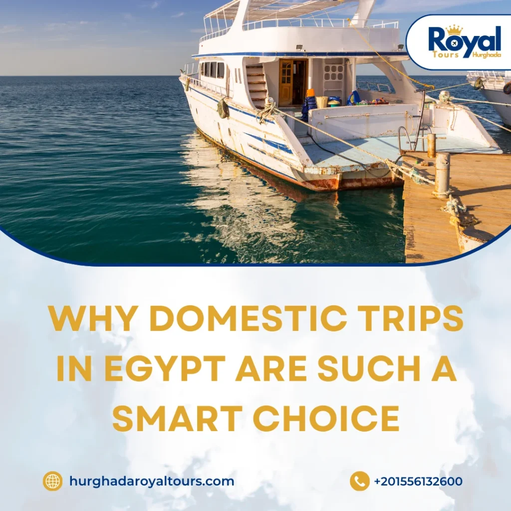 plan domestic trips Egypt