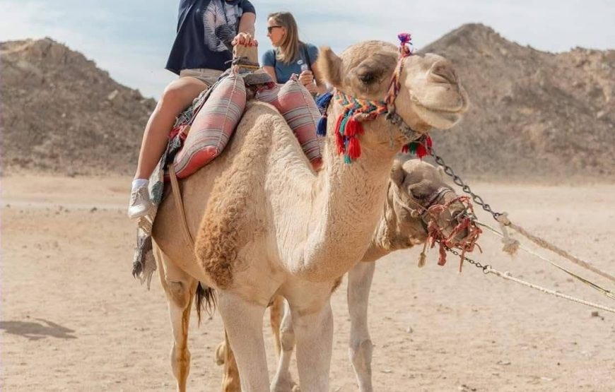 Stargazing Adventure by Jeep Safari in Hurghada