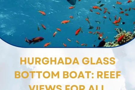 Hurghada Glass Bottom Boat