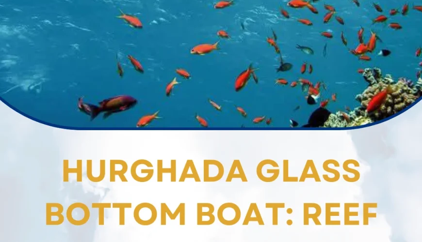 Hurghada Glass Bottom Boat