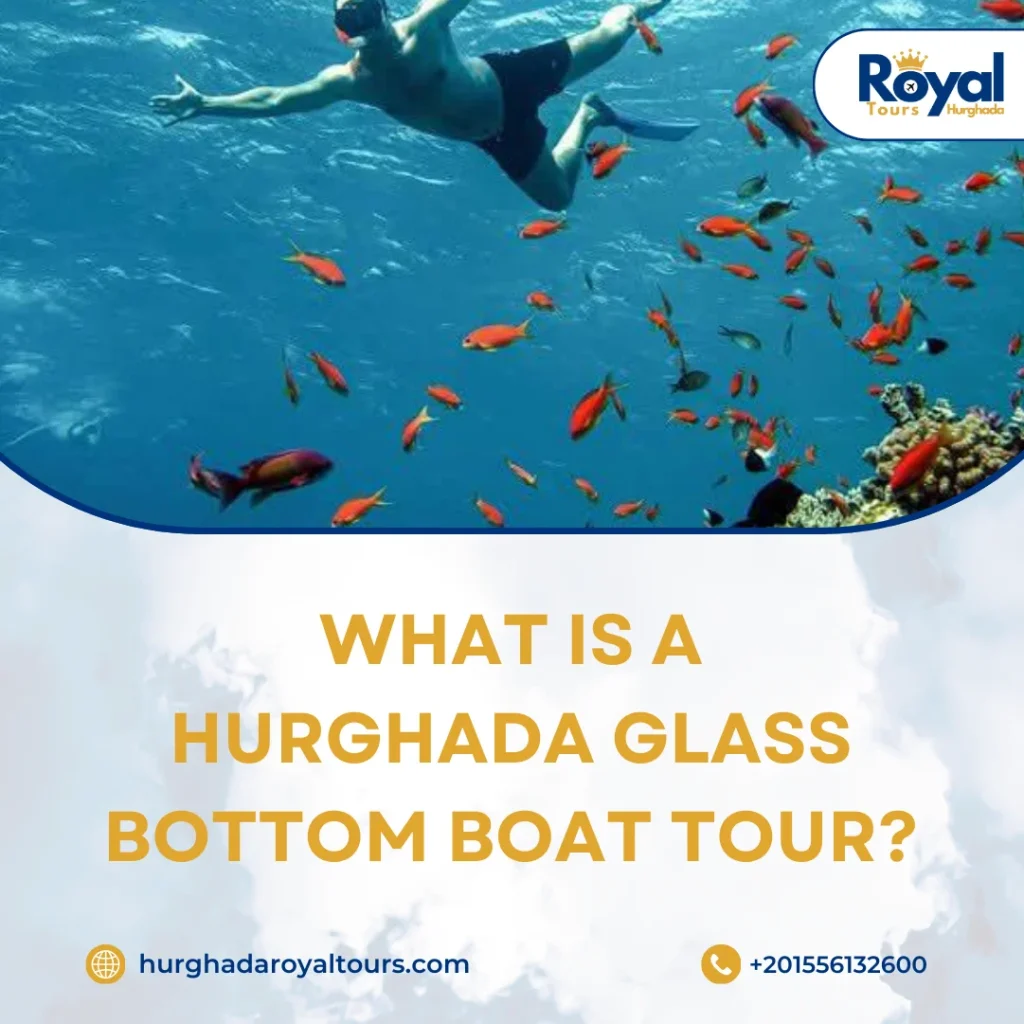 Hurghada Glass Bottom Boat