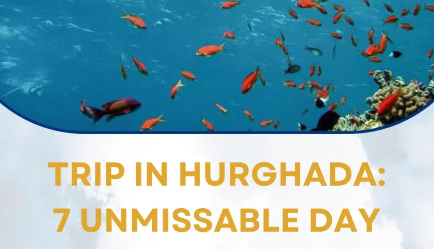 Trip in Hurghada